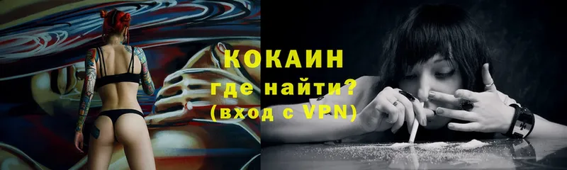 как найти   Кирово-Чепецк  COCAIN FishScale 