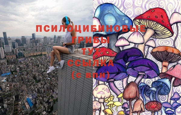 гашик Нея
