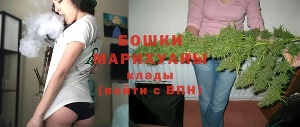 гашик Нея