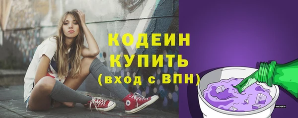 дживик Новозыбков