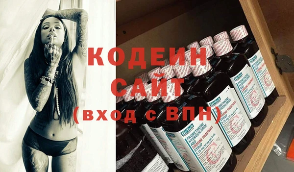 гашик Нея