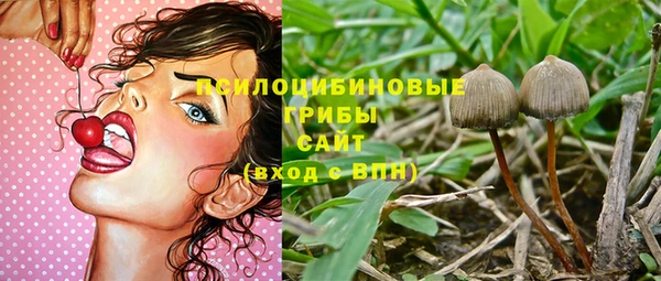 мдпв Новокубанск