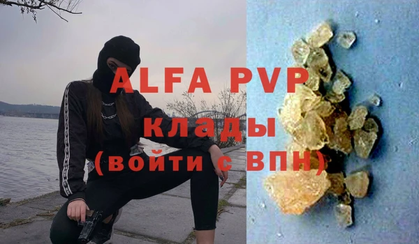 гашик Нея