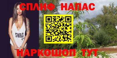 прущие крисы Дубна