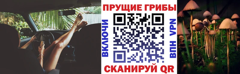 Псилоцибиновые грибы Magic Shrooms  Кирово-Чепецк 