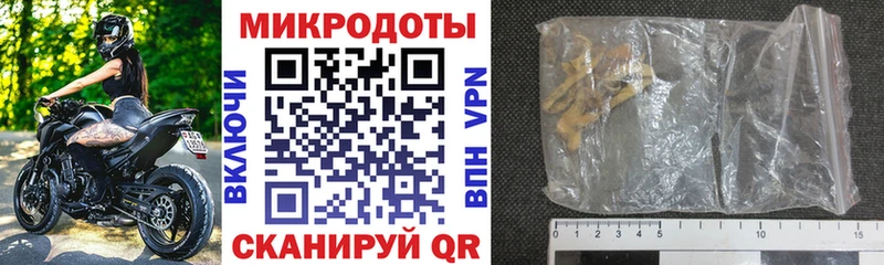 Псилоцибиновые грибы Cubensis Кирово-Чепецк