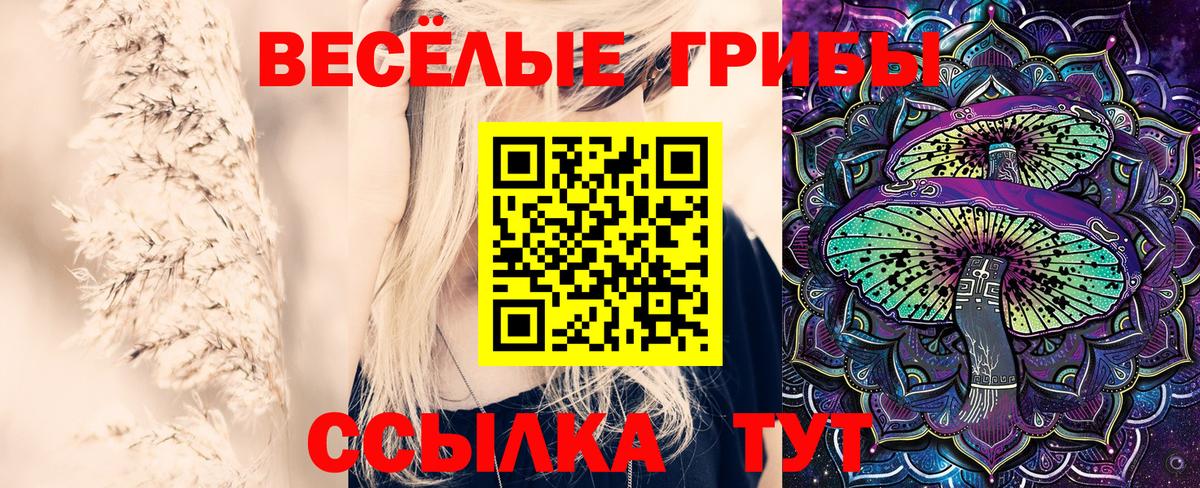 Кирово-Чепецк  продажа наркотиков  Вход с VPN  Псилоцибиновые грибы Magic Shrooms  Псилоцибиновые грибы GOLDEN TEACHER 